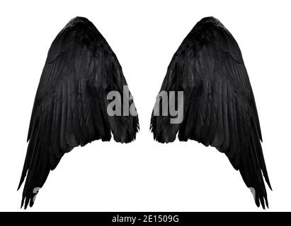 deux grandes ailes de corbeau noir avec de grandes plumes isolées sur fond blanc, se rapprochez Banque D'Images
