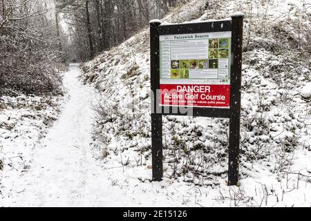 Neige tombant sur une forêt de Cotswold sur Painswick Beacon, Gloucestershire Royaume-Uni Banque D'Images