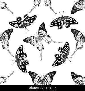 Motif sans couture avec espadon géant noir et blanc, papillon citron Illustration de Vecteur