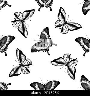 Motif sans couture avec queue d'allowtail noir et blanc émeraude, papillon à queue d'allowtail Illustration de Vecteur