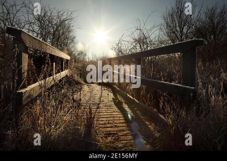 Petite passerelle en bois au-dessus du fossé de drainage agricole au nord de Kirton à Lindsey, North Lincolnshire, Royaume-Uni. Banque D'Images