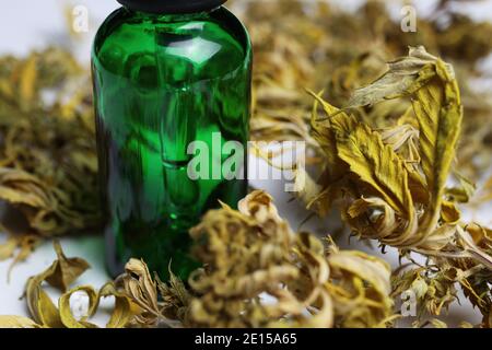Macro gros plan de la pipette à gouttes isolée verte cannabinol médical bouteille d'huile cpd avec bourgeons de cannabis séchés, fond blanc Banque D'Images