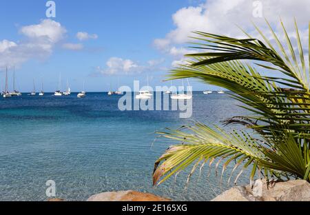 Le catamaran et les voiliers ancrés dans les eaux de la plage des caraïbes. Banque D'Images