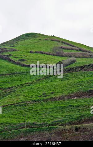 Le Mirador do Santa Iria sur la rive nord de l'île de Sao Miguel dans les Açores du Portugal offre des vues spectaculaires sur la mer et la colline. Banque D'Images