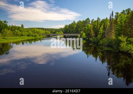 La rivière au sable. La rivière au sable traverse une forêt sauvage luxuriante et isolée dans le nord du Michigan. Banque D'Images