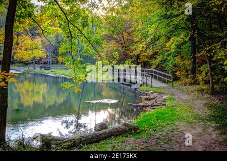 Belle scène forestière. Une petite passerelle en bois traverse un petit lac entouré d'un magnifique paysage forestier luxuriant au parc Fitzgerald, dans le comté d'Eaton Banque D'Images