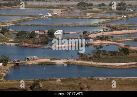 Bassins de poissons horizontaux lanommercial, petits pains et maisons en étain, Ma TSO Lung, nouveaux territoires, avec clôture frontière Hong Kong/Chine en haut de la photo. 1st janvier 2021 Banque D'Images