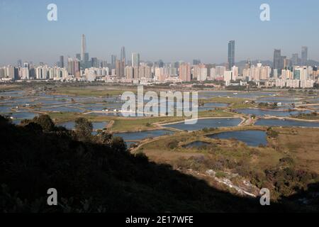 Étangs à poissons, Ma TSO Lung, New Territories, Hong Kong, avec Shenzhen élevé en arrière-plan le 1er janvier 2021 Banque D'Images