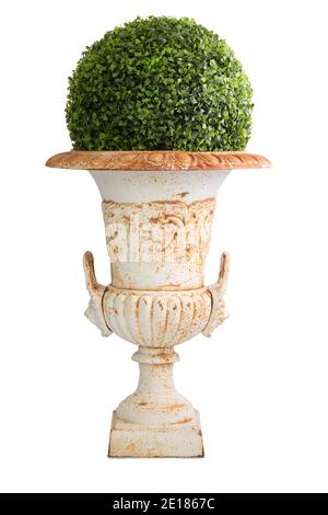 Vase en bronze antique avec faux buisson décoratif isolé sur fond blanc. Profondeur de champ complète avec masque. Banque D'Images