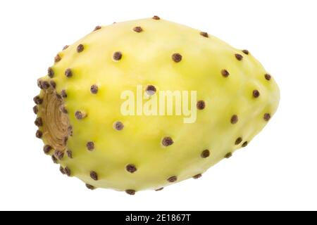 Poire épineuse isolée sur fond blanc. Banque D'Images