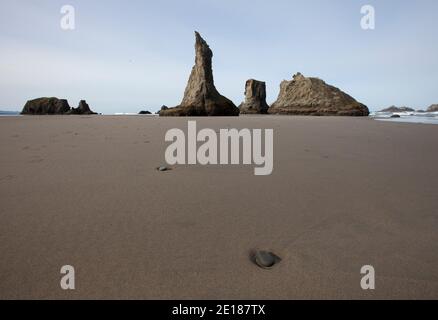 Piles de mer à marée basse, Bandon Beach, Oregon Coast, États-Unis Banque D'Images