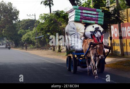 Un chariot coloré de Bullock à Tamil Nadu, Inde. Banque D'Images