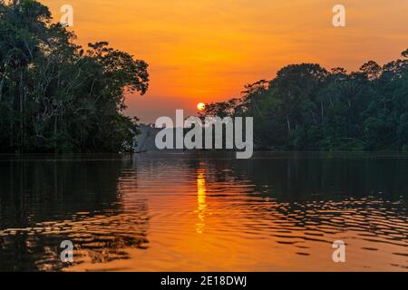 Coucher de soleil dans la forêt amazonienne. Le bassin amazonien comprend le Brésil, la Bolivie, la Colombie, l'Équateur, le Guyana, le Suriname, le Pérou et le Venezuela. Banque D'Images