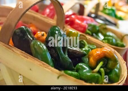 Poivrons locaux colorés, cultivés en Appalaches, au marché des producteurs de Cashiers, en Caroline du Nord. (ÉTATS-UNIS) Banque D'Images