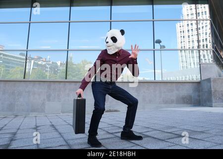 Un voleur de sexe masculin portant un masque de tête panda volant un porte-documents à l'écoute des sirènes de la police. Voleur bizarre. Banque D'Images