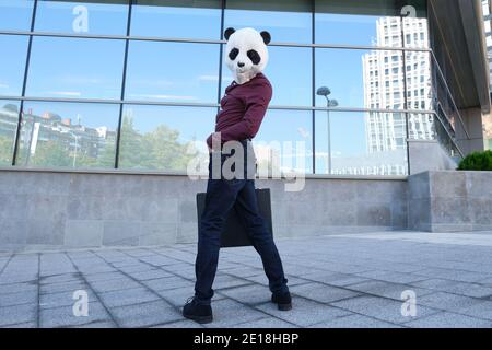 Un voleur de sexe masculin portant un masque de tête de panda dérobe un porte-documents qui regarde en arrière. Voleur bizarre. Banque D'Images