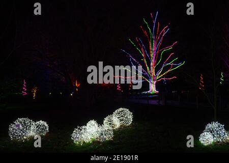 Kew Gardens fête des lumières de Noël 2020 Banque D'Images