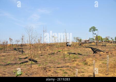 Les effets de la déforestation sur la forêt amazonienne au Brésil Banque D'Images