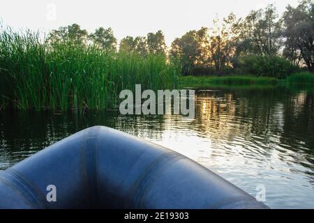 Paysage d'été sur le lac sur un bateau gonflable à côté aux roseaux Banque D'Images