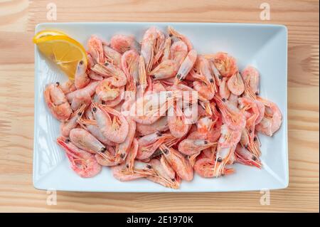 Crevettes crevettes sur une assiette blanche. Crevettes dans un bol, vue de dessus. Ingrédients de fruits de mer frais prêts à manger. Crevettes cuites. Banque D'Images