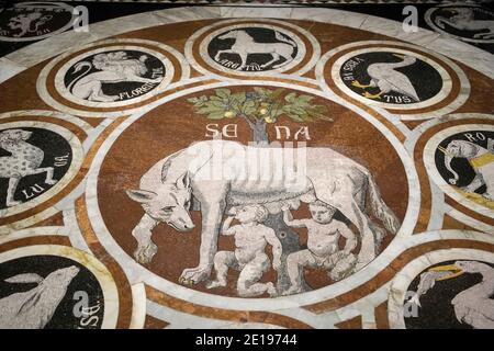 Italie, Toscane: Sienne. Carrelage de la cathédrale Santa Maria Assunta (Duomo di Siena). Sol en mosaïque de marbre représentant le Loup-she de Siena Feeding se Banque D'Images