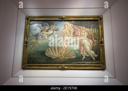 Italie, Toscane: Florence (Florence en italien). La naissance de Vénus, un tableau de Sandro Botticelli, dans la Galerie des Offices Banque D'Images