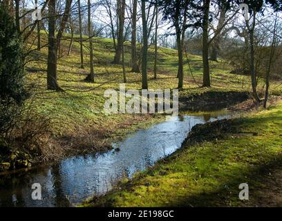 Tapis de gouttes de neige et aconites près de la rivière Witham à Little Ponton Hall Banque D'Images