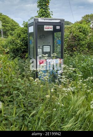 Une boîte téléphonique désutilisée dans la campagne anglaise à Dorset, Angleterre, Royaume-Uni Banque D'Images