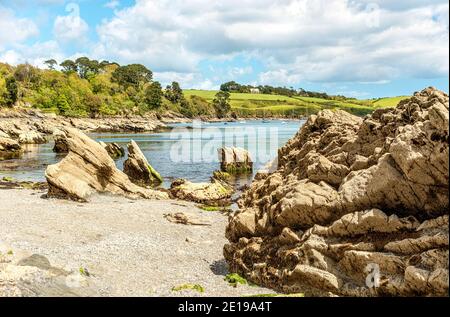 Côte à Polgwidden Cove Beach de Trebah Garden, Cornouailles, Angleterre, Royaume-Uni Banque D'Images