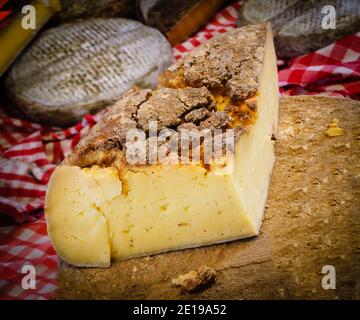 Fromage de chèvre vieilli sur le marché agricole de Paris. Banque D'Images