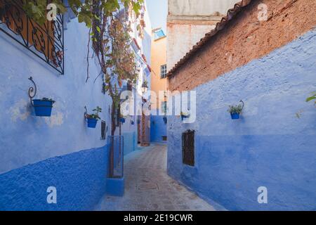 Chefchaouen, situé dans le nord-ouest du Maroc, est connu sous le nom de Blue Pearl avec ses nuances de bleu sur les bâtiments historiques de la ville. Banque D'Images