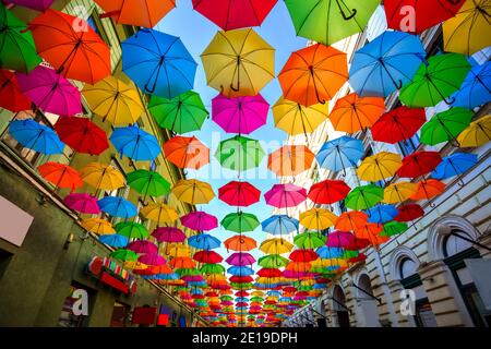 Parasols colorés surplombant les vieilles rues du centre-ville de Timisoara, Roumanie. Photo prise le 21 avril 2019. Banque D'Images