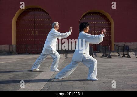 Deux personnes âgées jouant au Tai Chi dans le parc haut photo de qualité Banque D'Images
