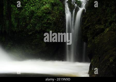 Affluent de l'Afon Hwch tombant dans la piscine de plongée au fond de Rhaeadr Ceunant Mawr. Banque D'Images