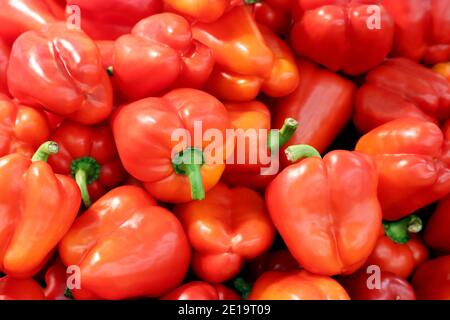 Gros plan sur le poivron. Poivrons rouges sur un marché, paprika, fond végétal Banque D'Images