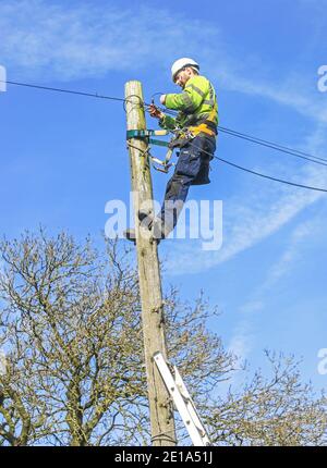 Un ingénieur de téléphonie BT en haut d'un poteau regardant le câblage, Talke, Stoke-on-Trent, Staffordshire, Angleterre, Royaume-Uni Banque D'Images