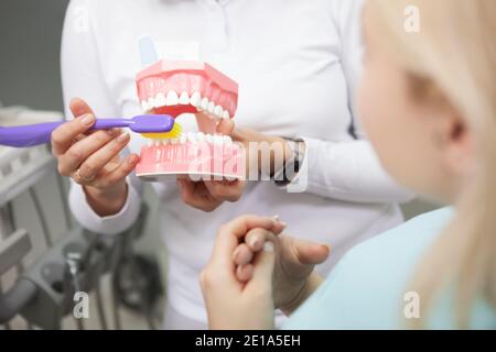 Plan de coupe d'une femme dentiste montrant à sa patiente comment se brosser les dents correctement, en utilisant le modèle de prothèse dentaire Banque D'Images