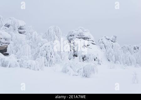 crête de rochers enneigés et d'arbres gelés sur une montagne passe en hiver Banque D'Images