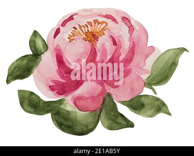 Magnifique dessin aquarelle de fleurs lumineuses. Gros plan, sans personne, texture. Félicitations pour vos proches, vos proches, vos amis et vos collègues Banque D'Images