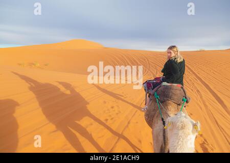 Une excursion à dos de chameau le long des dunes de sable désertiques d'Erg Chebbi près du village de Merzouga dans le sud-est du Maroc. Banque D'Images