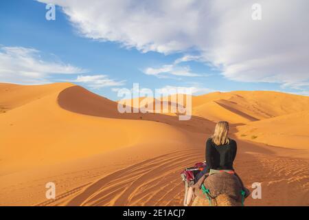 Une excursion à dos de chameau le long des dunes de sable désertiques d'Erg Chebbi près du village de Merzouga dans le sud-est du Maroc. Banque D'Images
