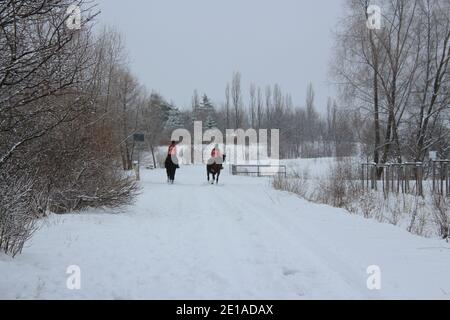 en hiver, vous montez sur deux chevaux noirs dans la neige pays des merveilles Banque D'Images