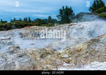 Hells Gate, Nouvelle-Zélande--1er mars 2018. Photo de la vapeur qui s'élève des piscines géothermiques du lac Rotioti à Hells Gate, Nouvelle-Zélande. Banque D'Images