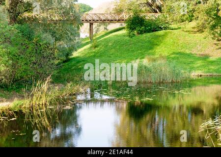 magnifique pont en bois sur la rivière dans un magnifique parc d'automne. Banque D'Images