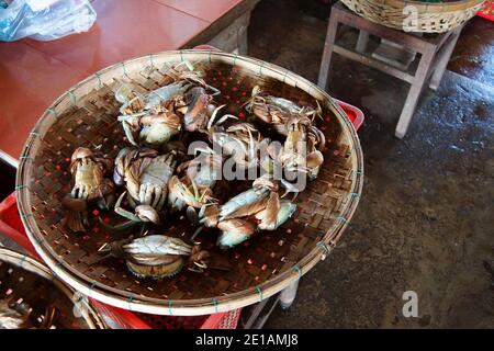Crabes exposés sur le marché central de Hoi an, Vietnam Banque D'Images
