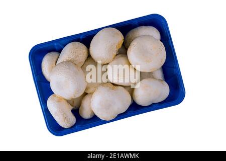 Champignons blancs entiers dans un plateau isolé sur fond blanc. Vue de dessus. Banque D'Images