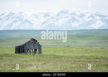 Ancienne grange sur Oregon's Zumwalt Prairie. Banque D'Images