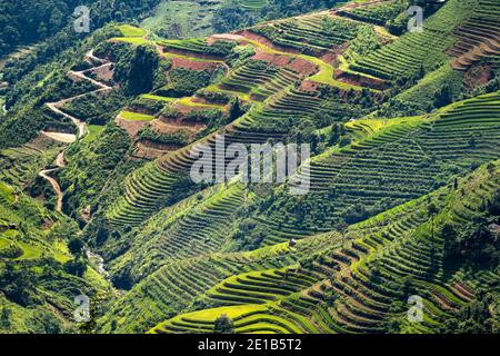 Terrasses de riz à Ha Giang Banque D'Images