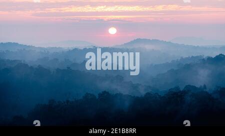 Scène matinale du lever du soleil avec forêt tropicale couverte de brouillard et de brume au lever du soleil. Banque D'Images