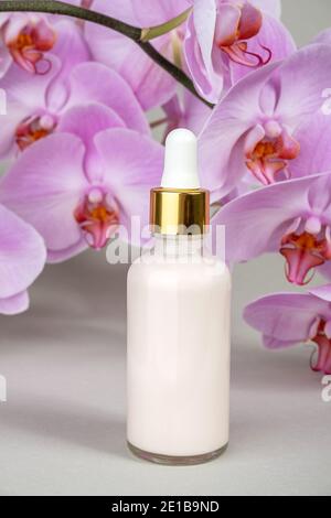 Collagène anti-âge rose, sérum facial en flacon en verre transparent avec pipette d'or et fleur d'orchidée naturelle sur fond gris. Spa biologique naturel Banque D'Images